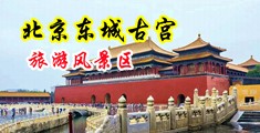 欧美骚屄中国北京-东城古宫旅游风景区